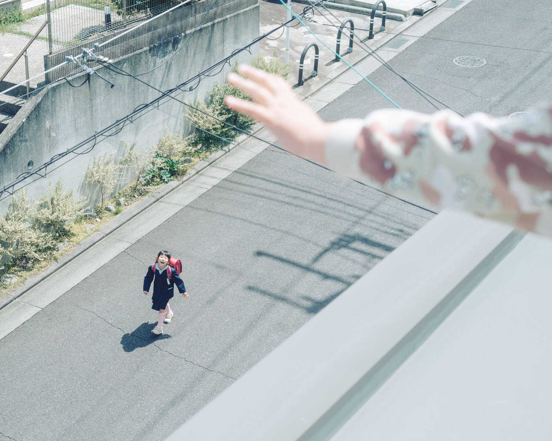 © Koji Shintani
